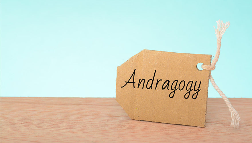 The Six Principles of Andragogy: Enhancing Adult Learning Experiences