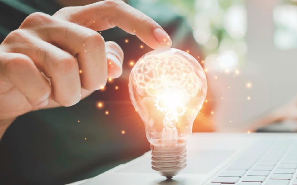 THE INNOVATION MIRAGE: HOW CORPORATE AUSTRALIA'S "WE'VE ALWAYS DONE IT THIS WAY" SYNDROME IS SABOTAGING ECONOMIC SURVIVAL