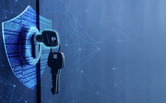 SAFEGUARDING THE VAULT: CRITICAL PRIVACY AND DATA PROTECTION OBLIGATIONS FOR RTOs