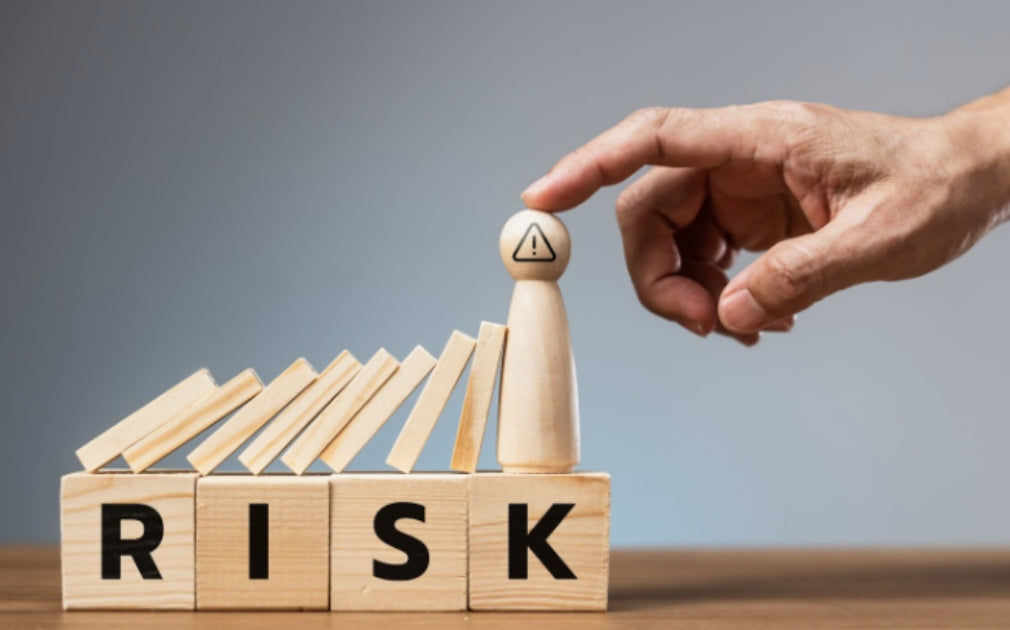When Certainty Is an Illusion: Why Every Successful Project Depends on Risk Management