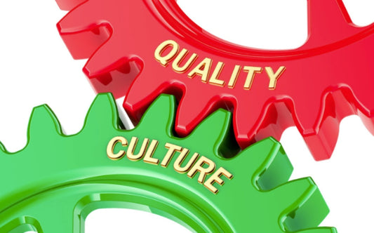 Building a Quality Culture in an RTO — and Why High-Managerial Capability Makes (Almost) Everything Work