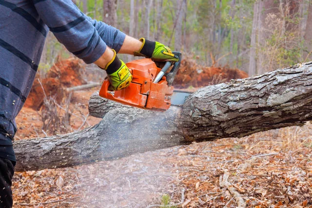 A forestry worker operating a chainsaw